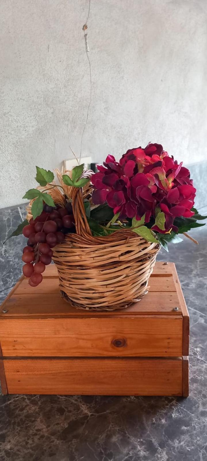B&B Il Casaletto Monte Porzio Catone Ngoại thất bức ảnh